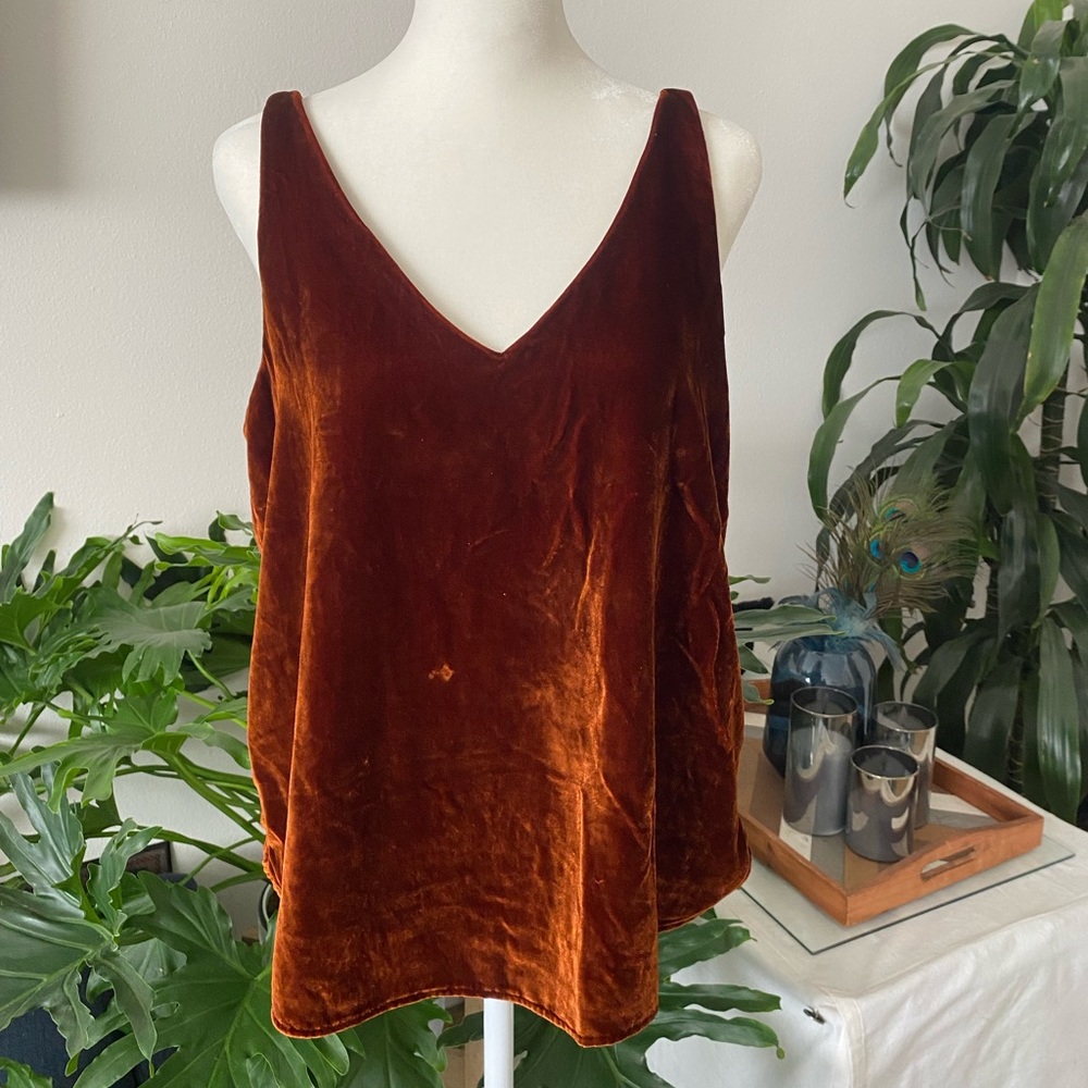 Loft Burnt Orange Velvet Top